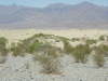 Thumbnail 1421_mesquite_sand_dunes.jpg 